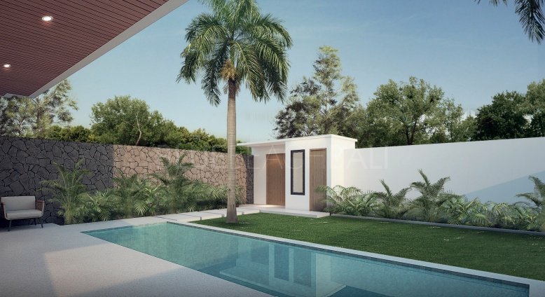 Villa with wide pool and tree
